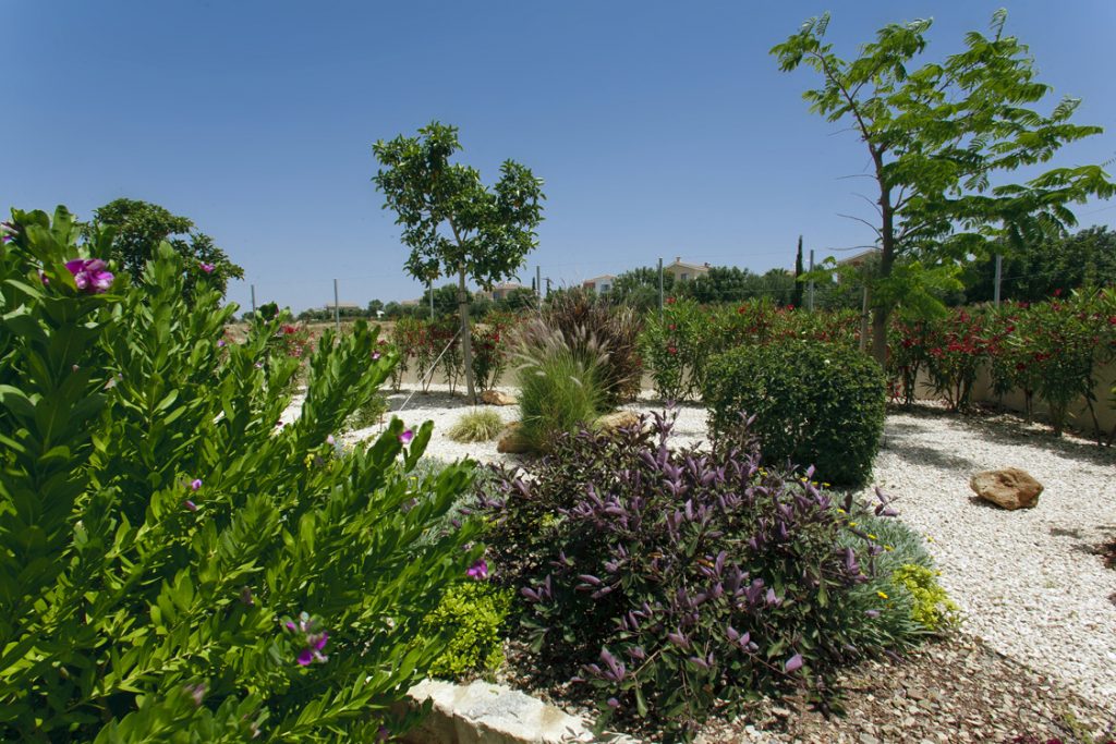 Green Forest - Cyprus' leading landscaping company - project 016 31 2