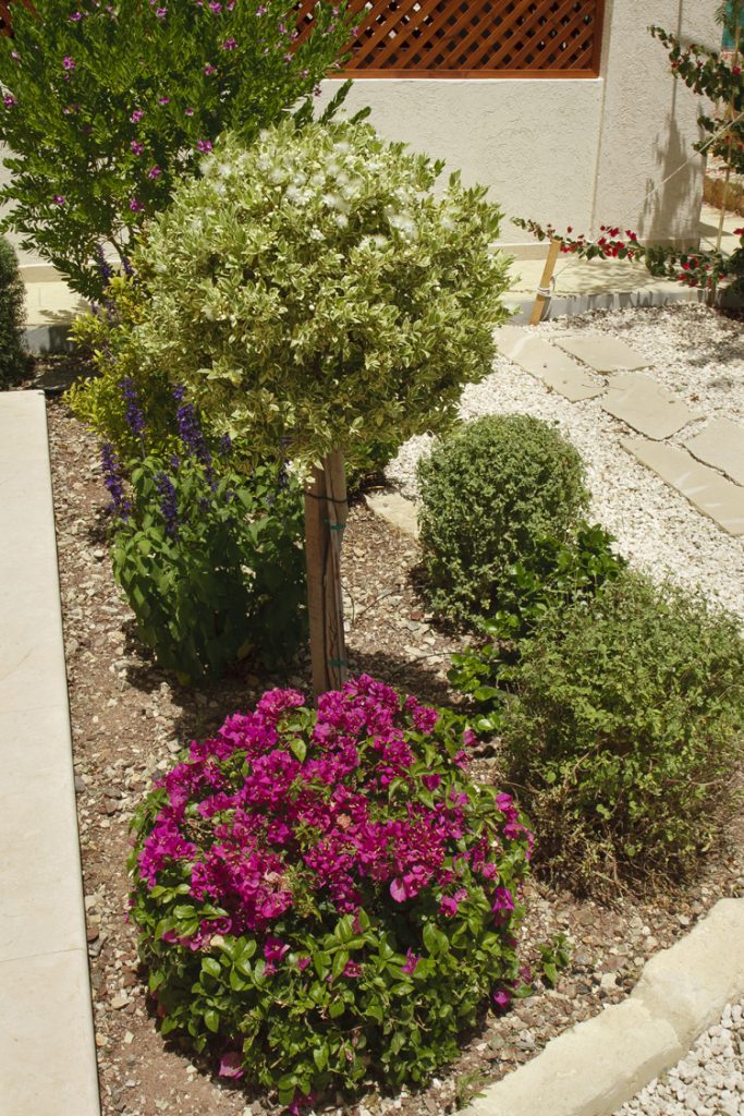 Green Forest - Cyprus' leading landscaping company - project 016 32 2