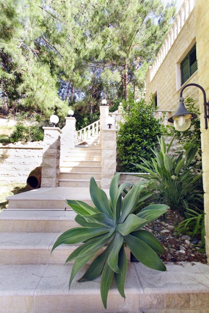 Green Forest - Cyprus' leading landscaping company - project 017 11 2