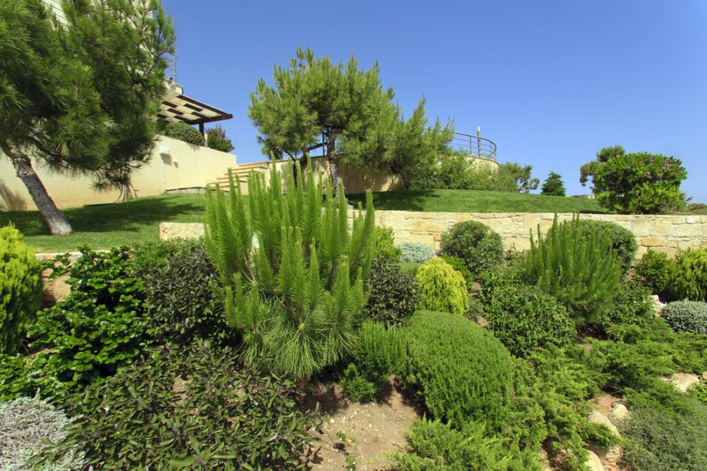 Green Forest - Cyprus' leading landscaping company - project 019 3 2