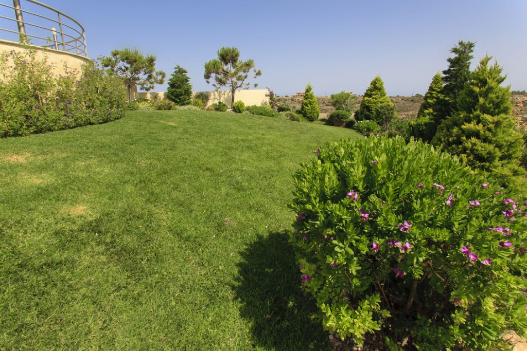 Green Forest - Cyprus' leading landscaping company - project 019 4 2