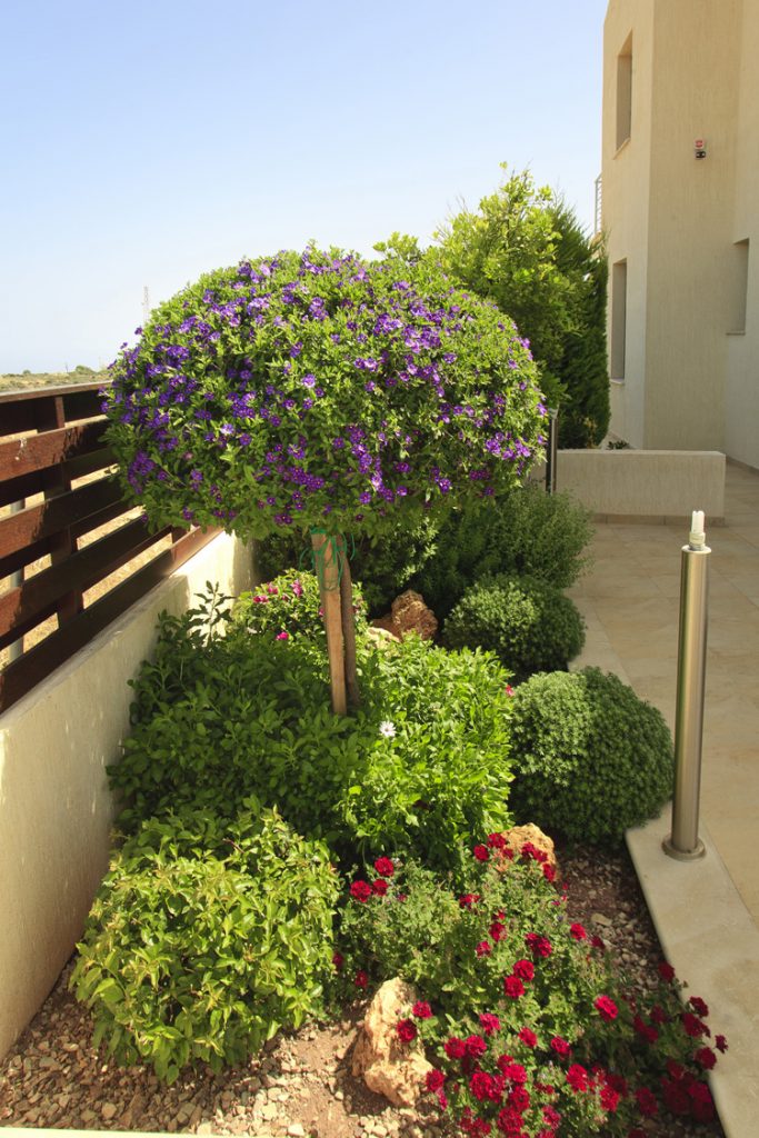 Green Forest - Cyprus' leading landscaping company - project 019 6 2