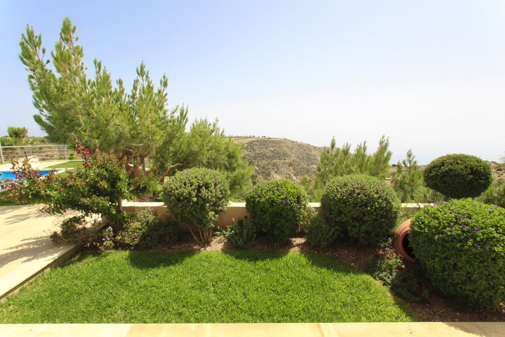 Green Forest - Cyprus' leading landscaping company - project 019 8 1