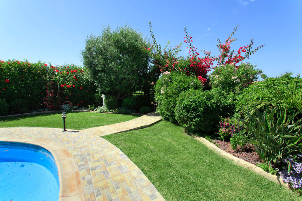Green Forest - Cyprus' leading landscaping company - project 020 14