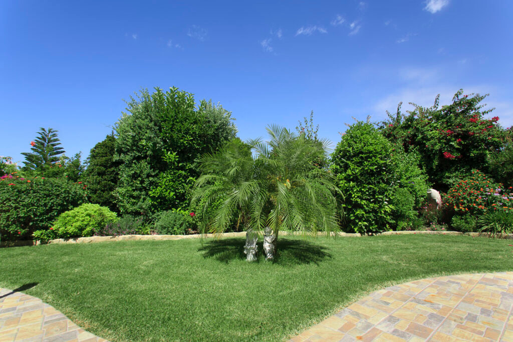 Green Forest - Cyprus' leading landscaping company - project 020 16 1