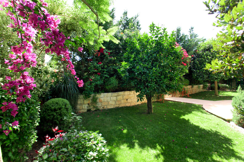 Green Forest - Cyprus' leading landscaping company - project 020 24 2