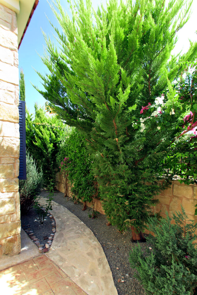 Green Forest - Cyprus' leading landscaping company - project 020 25 2