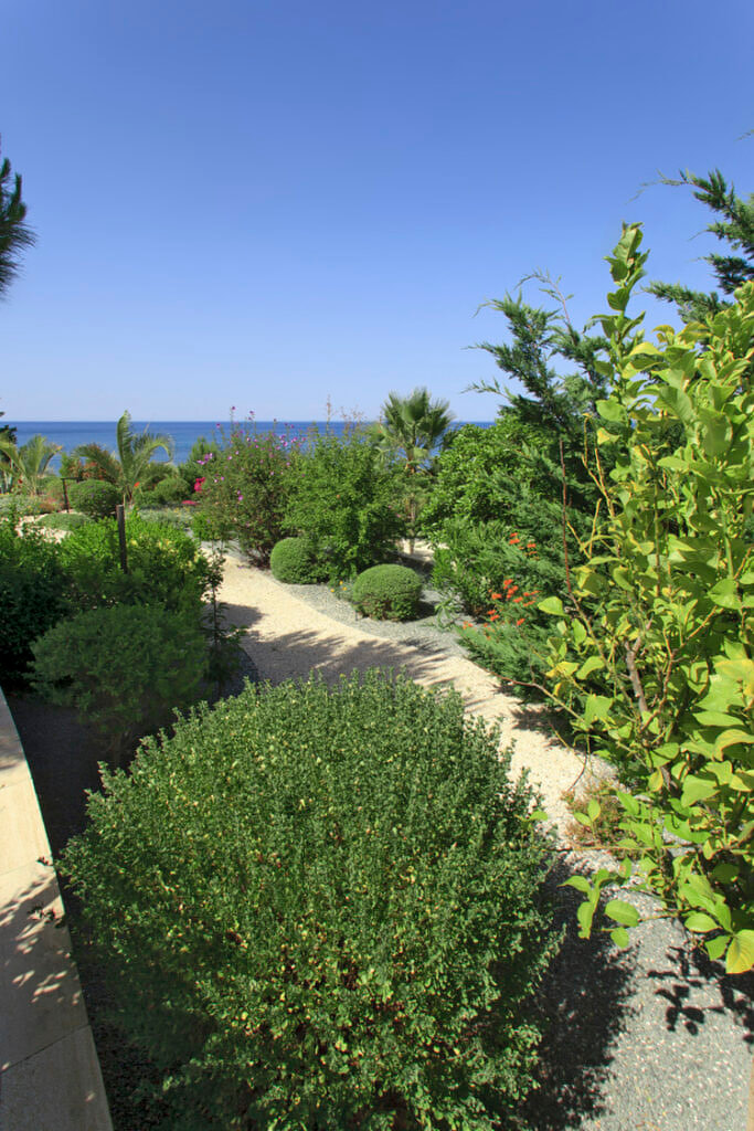 Green Forest - Cyprus' leading landscaping company - project 020 27