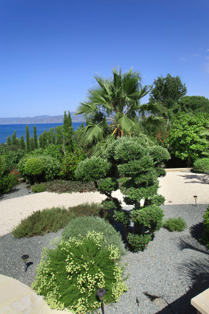 Green Forest - Cyprus' leading landscaping company - project 020 33 2