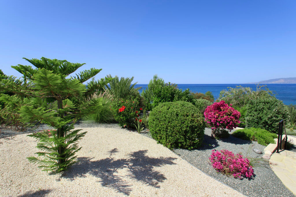 Green Forest - Cyprus' leading landscaping company - project 020 34 1