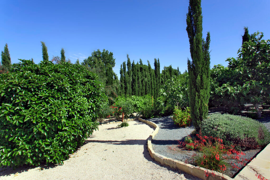 Green Forest - Cyprus' leading landscaping company - project 020 37