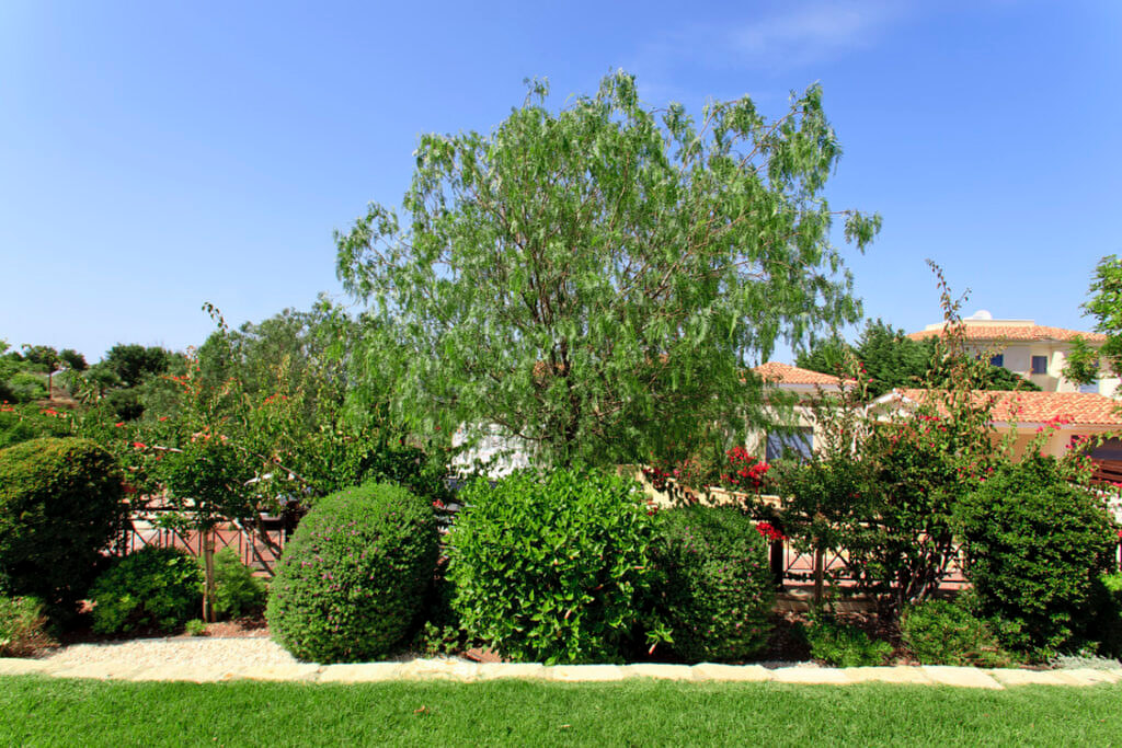 Green Forest - Cyprus' leading landscaping company - project 020 5 2