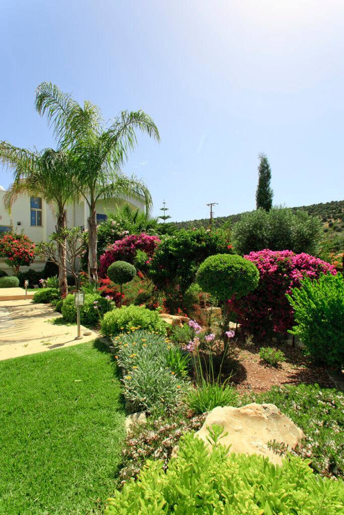 Green Forest - Cyprus' leading landscaping company - project 020 6 2