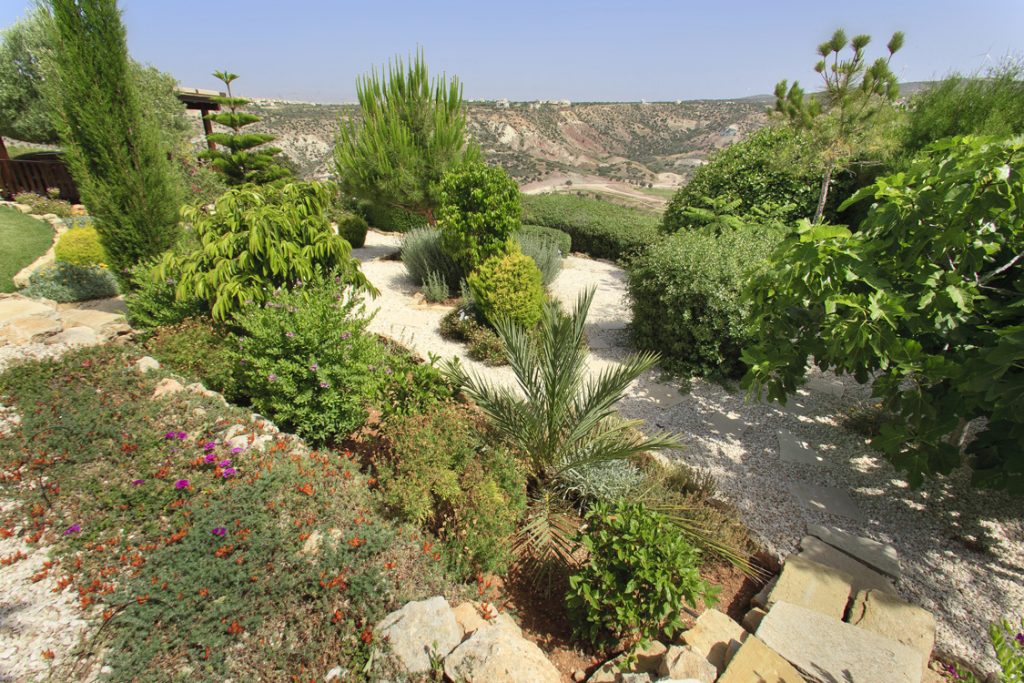 Green Forest - Cyprus' leading landscaping company - project 021 10 2