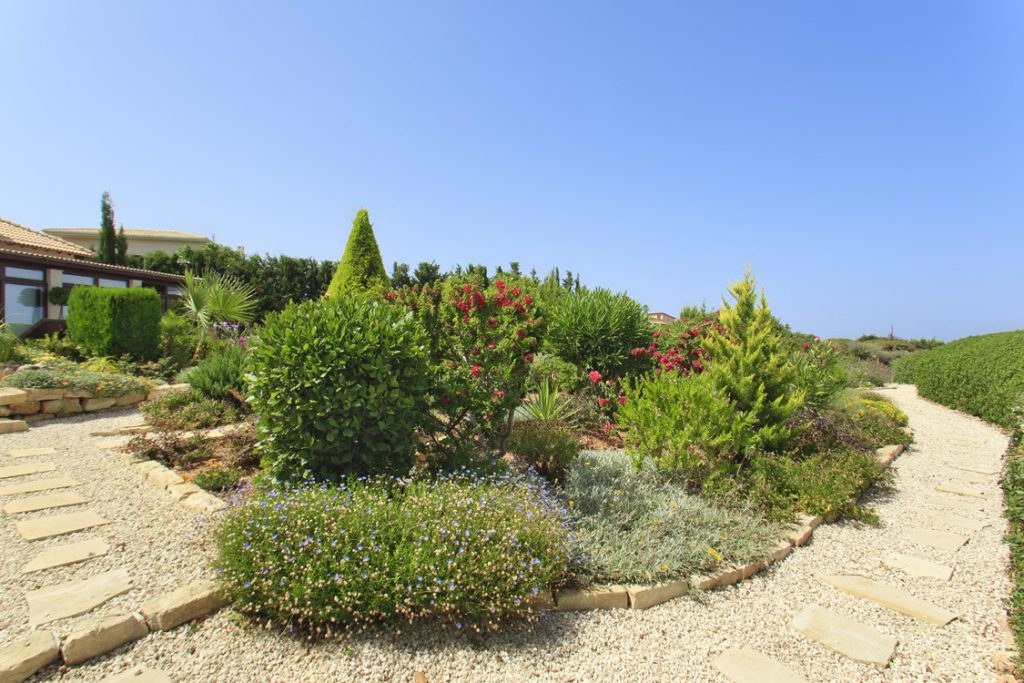 Green Forest - Cyprus' leading landscaping company - project 021 15