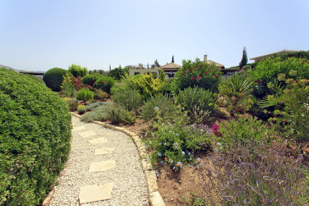 Green Forest - Cyprus' leading landscaping company - project 021 17 2