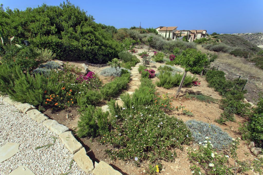 Green Forest - Cyprus' leading landscaping company - project 021 18 1