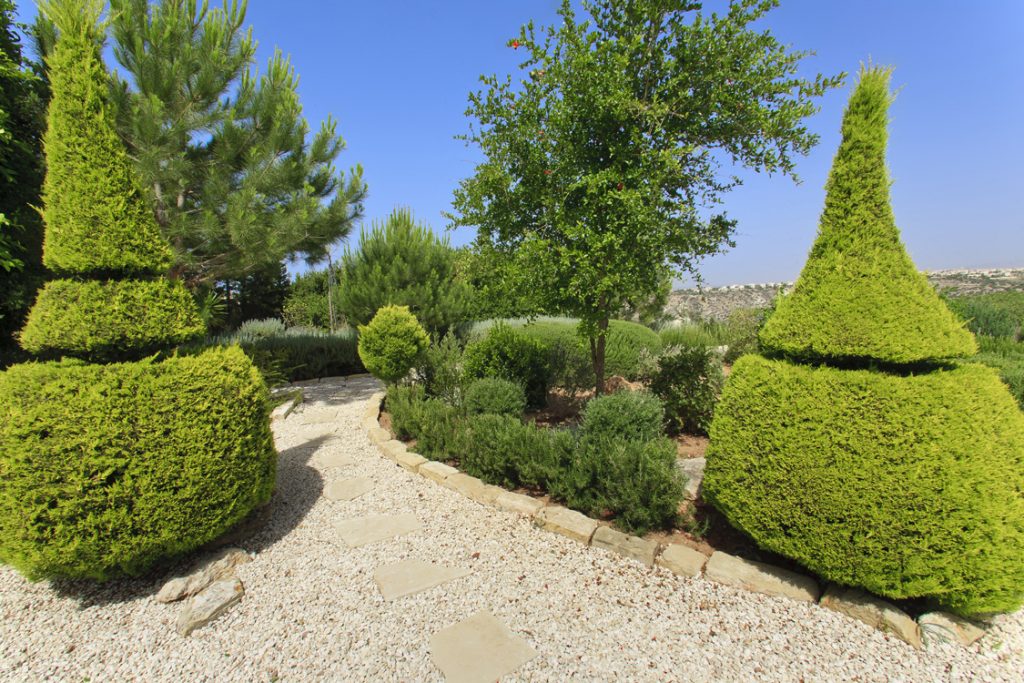 Green Forest - Cyprus' leading landscaping company - project 021 21 2