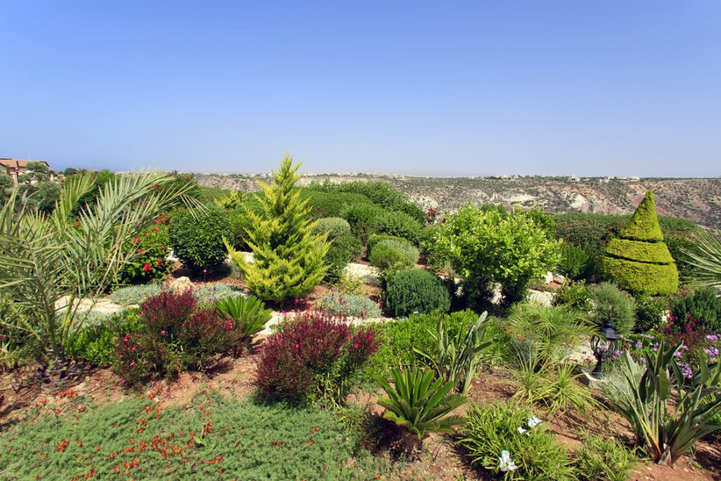 Green Forest - Cyprus' leading landscaping company - project 021 24 1