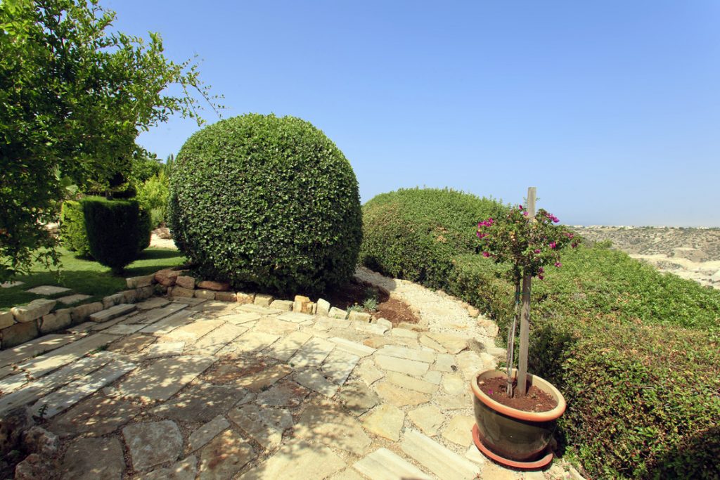 Green Forest - Cyprus' leading landscaping company - project 021 4 2
