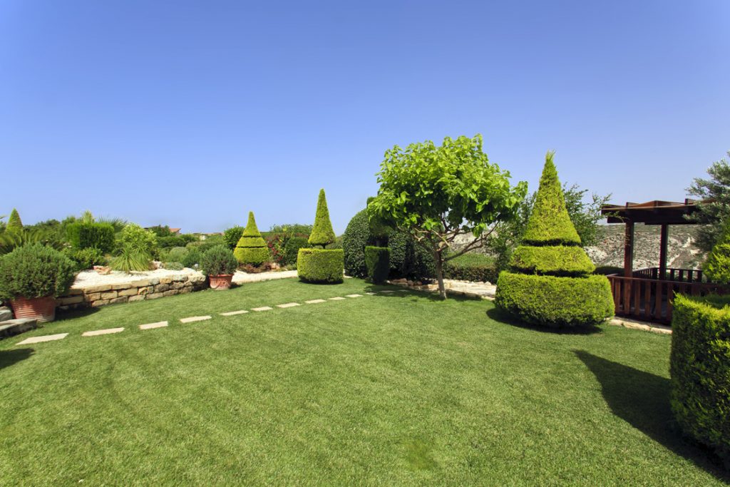 Green Forest - Cyprus' leading landscaping company - project 021 6 1