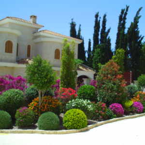 Green Forest - Cyprus' leading landscaping company - project 022 1