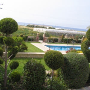 Green Forest - Cyprus' leading landscaping company - project 023 1 2