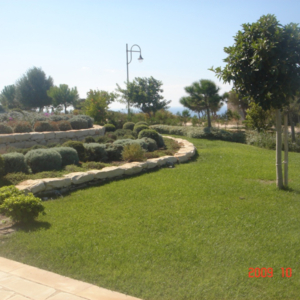 Green Forest - Cyprus' leading landscaping company - project 024 1