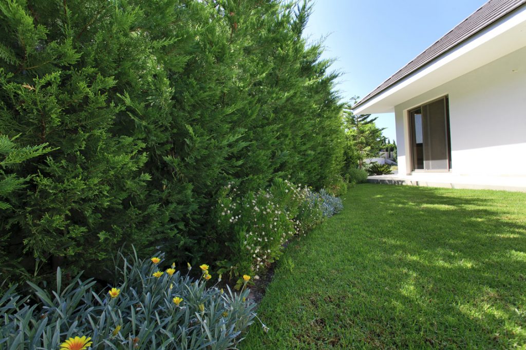 Green Forest - Cyprus' leading landscaping company - project 025 17 2