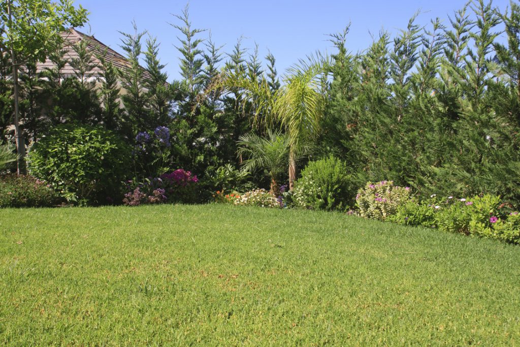 Green Forest - Cyprus' leading landscaping company - project 025 7 2