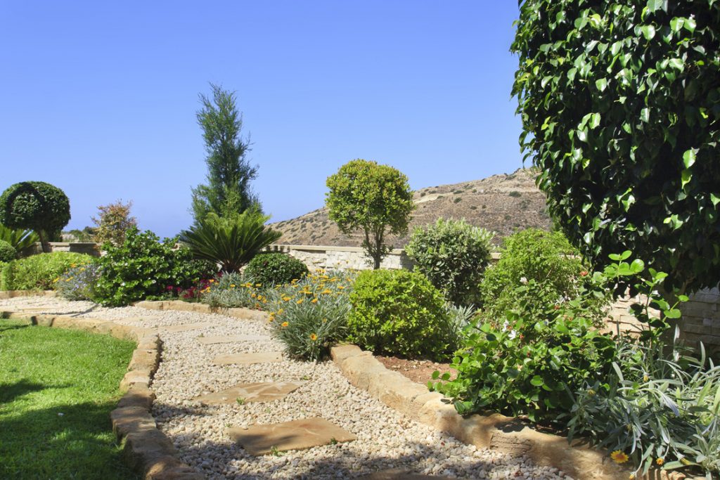 Green Forest - Cyprus' leading landscaping company - project 026 12 2