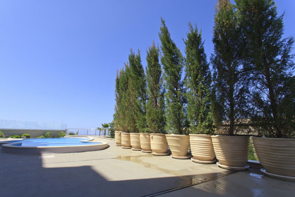 Green Forest - Cyprus' leading landscaping company - project 026 2