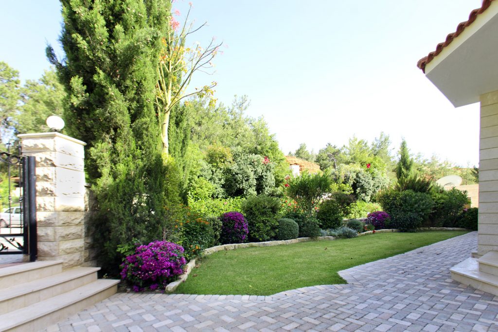 Green Forest - Cyprus' leading landscaping company - project 027 1