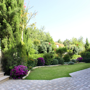 Green Forest - Cyprus' leading landscaping company - project 027 1