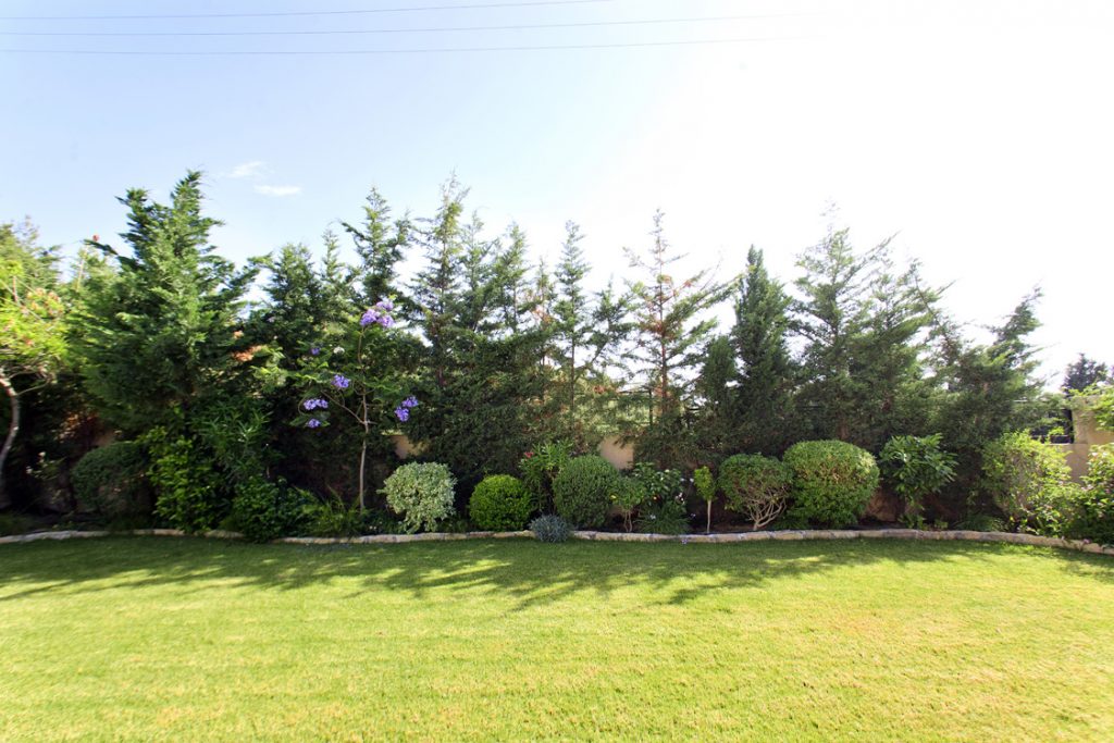 Green Forest - Cyprus' leading landscaping company - project 027 10 1
