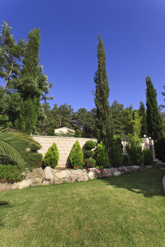 Green Forest - Cyprus' leading landscaping company - project 027 18 1