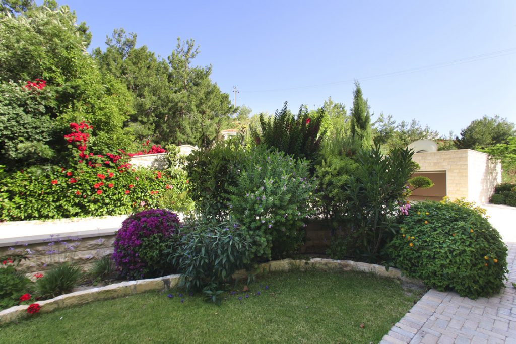 Green Forest - Cyprus' leading landscaping company - project 027 2 1