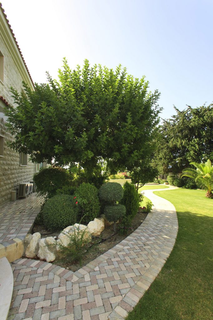 Green Forest - Cyprus' leading landscaping company - project 027 20