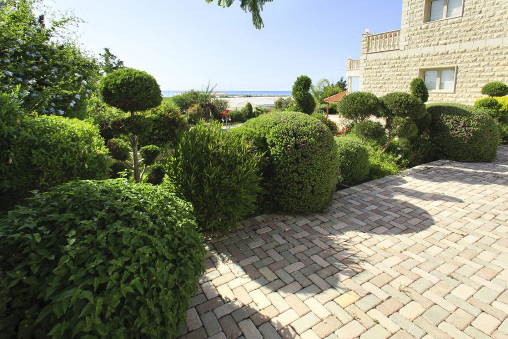 Green Forest - Cyprus' leading landscaping company - project 027 5 1