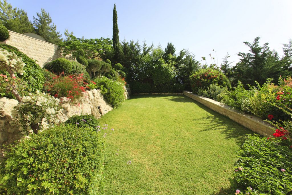 Green Forest - Cyprus' leading landscaping company - project 027 7