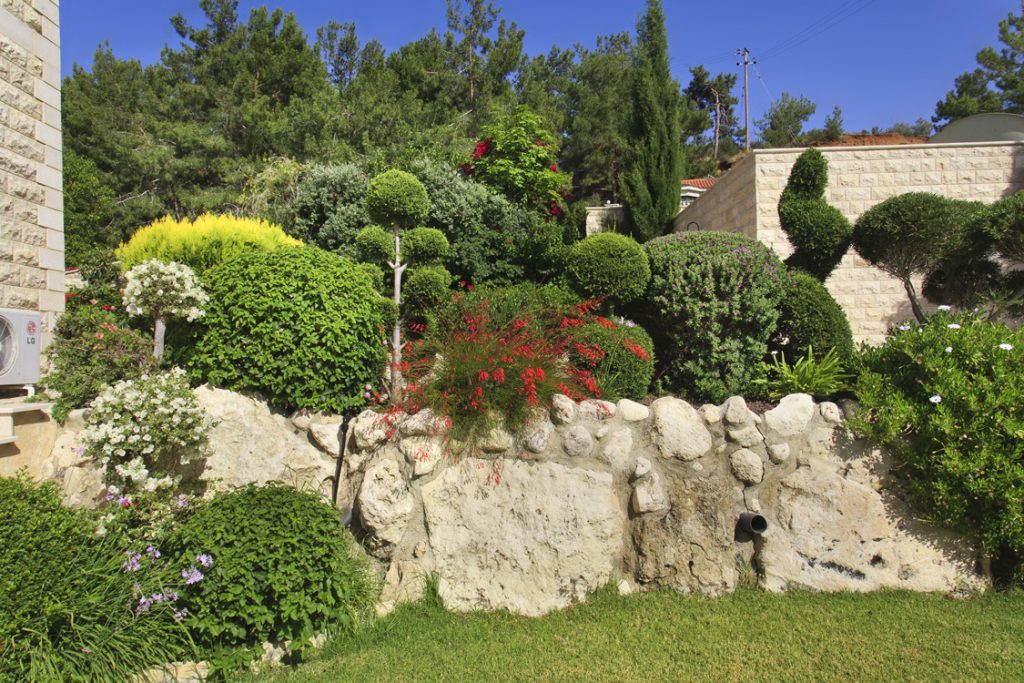 Green Forest - Cyprus' leading landscaping company - project 027 8 1