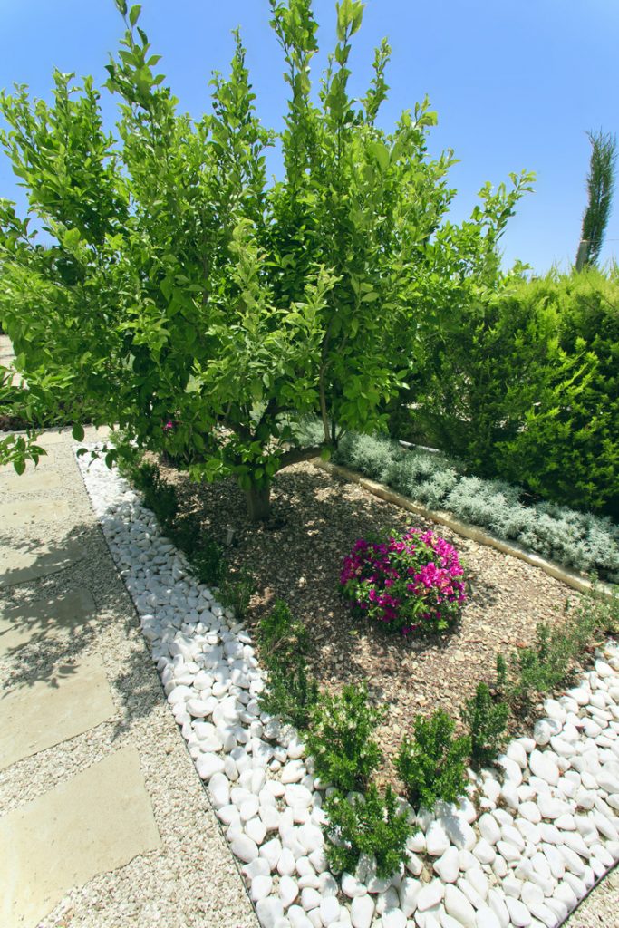 Green Forest - Cyprus' leading landscaping company - project 028 13