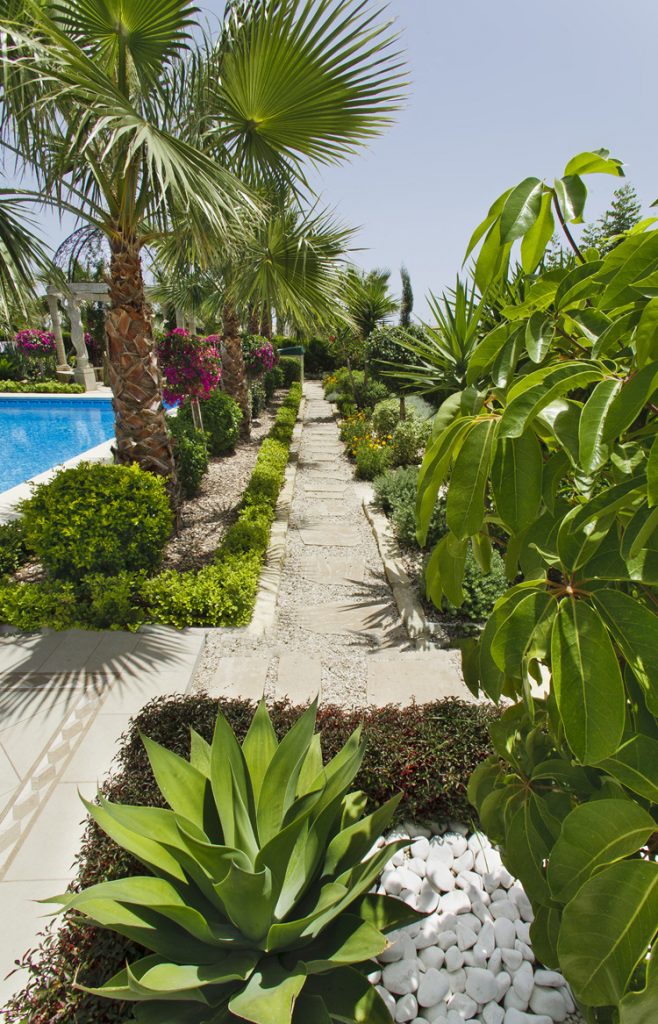 Green Forest - Cyprus' leading landscaping company - project 028 15 1