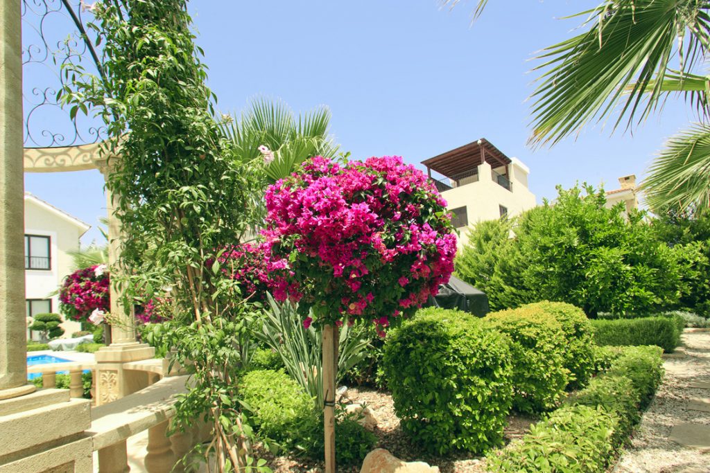 Green Forest - Cyprus' leading landscaping company - project 028 22 2
