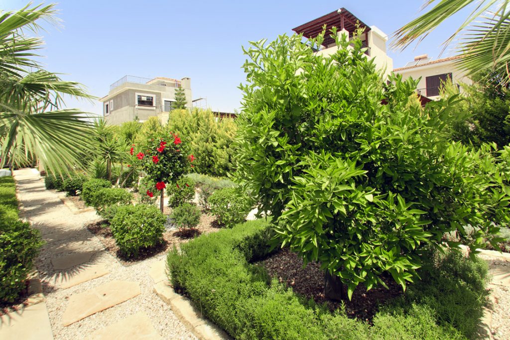 Green Forest - Cyprus' leading landscaping company - project 028 24 2