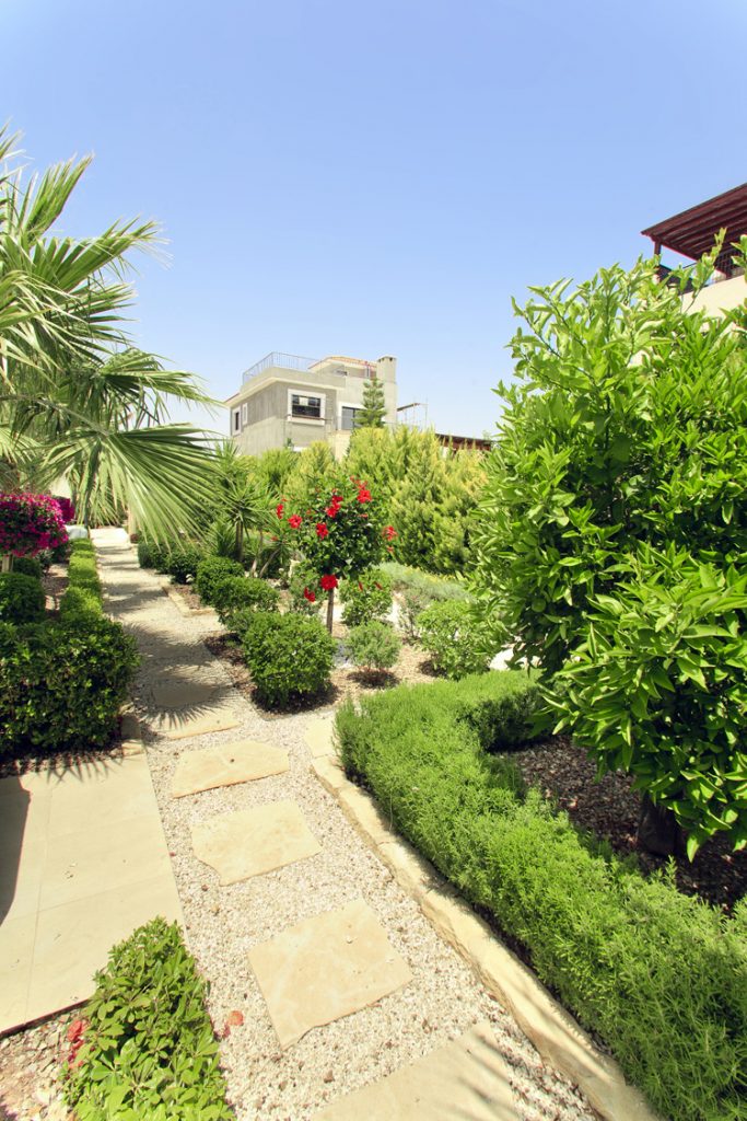 Green Forest - Cyprus' leading landscaping company - project 028 25 2