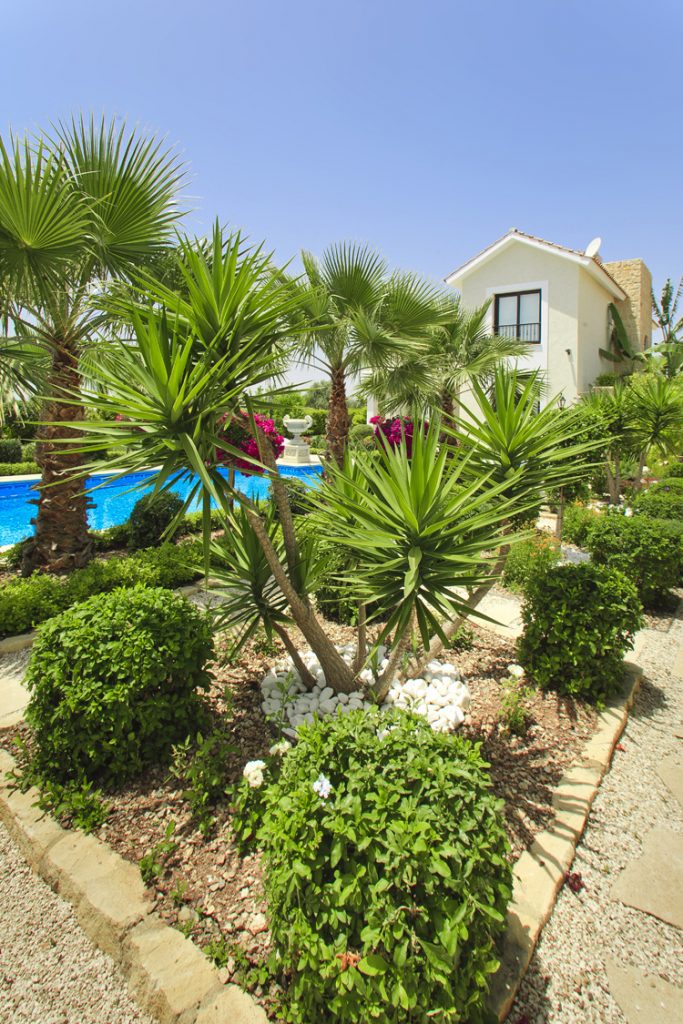 Green Forest - Cyprus' leading landscaping company - project 028 27 1