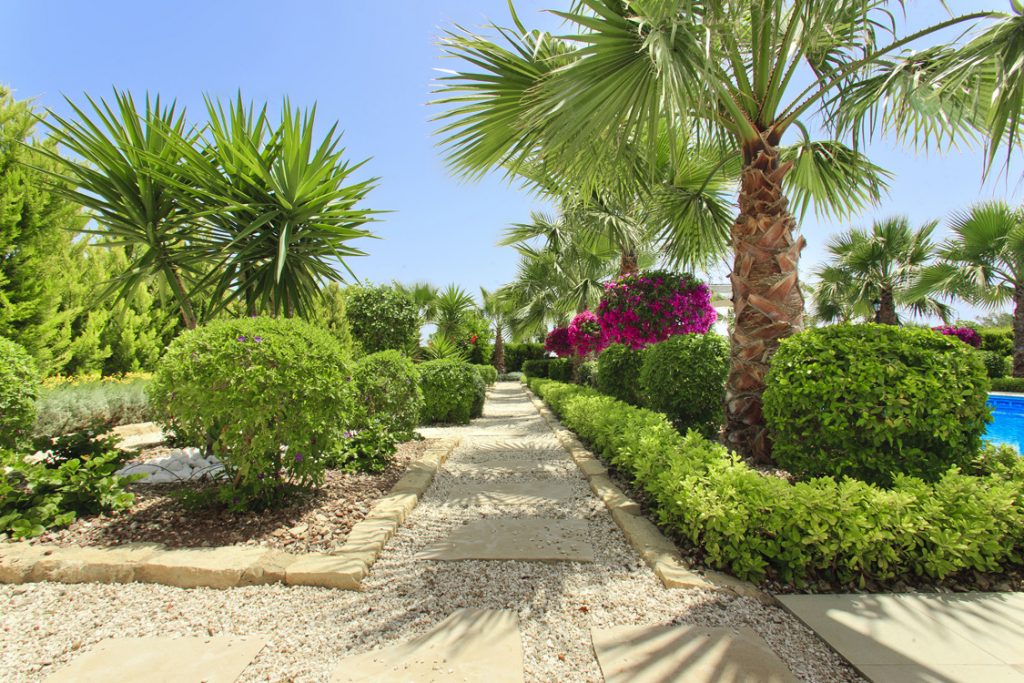 Green Forest - Cyprus' leading landscaping company - project 028 34 1
