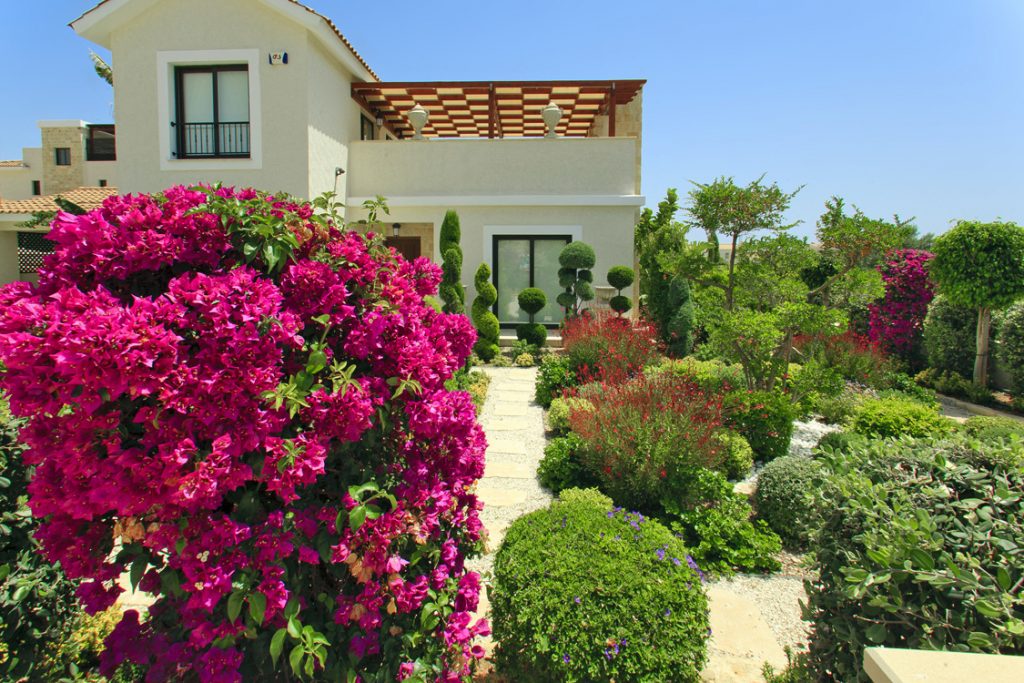 Green Forest - Cyprus' leading landscaping company - project 028 38 2