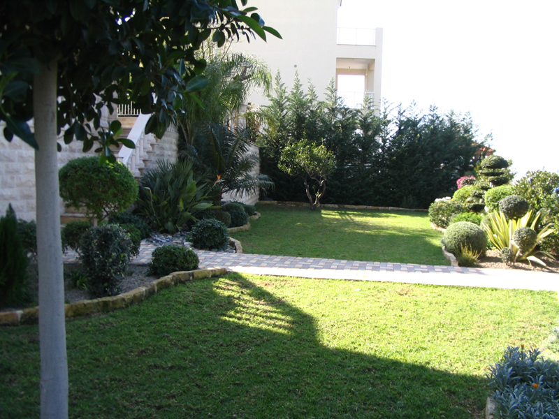 Green Forest - Cyprus' leading landscaping company - project 030 12 2